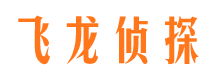 台江侦探